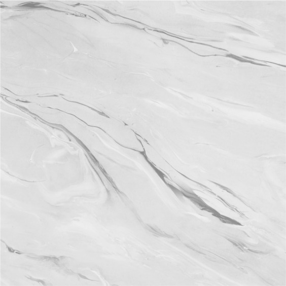 Фартук для кухни «Скиф» Аргус светлый арт. 043, 4200 x 600 x 6 мм #1