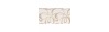 DWU09PLS004 декор Alma Ceramica Plesso 249*500 (8 шт. в коробке)