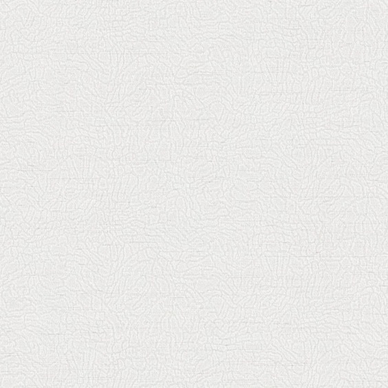 Обои виниловые на флизелиновой основе Alessandro Allori Breeze RDT2210-1, 1,06*10 м #1