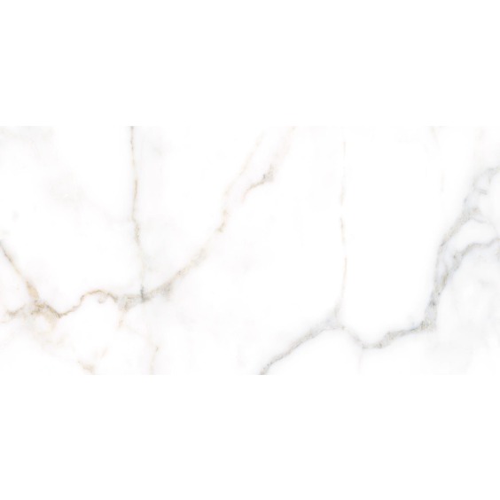 TWU09GRG007 плитка облицовочная Alma Ceramica Grigio 249*500 (12 шт в уп/80,676 м в пал) #16