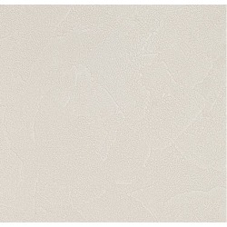 Обои виниловые на флизелиновой основе Andrea Rossi Spectrum Plus 54351-17, 1,06*10 м