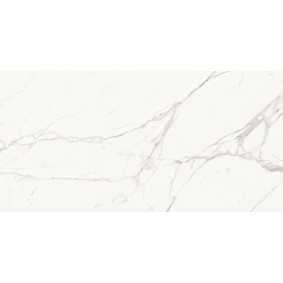 Delacora Porfido Carrara 60120PFC15M Керамогранит матовый 600*1200*9,5 (2 шт в уп/43,2 м в пал) #5