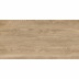 Delacora Walnut Light D120250M Керамогранит матовый 1200*600 (2 шт в уп/41,76  м в пал)