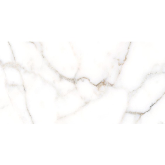 TWU09GRG007 плитка облицовочная Alma Ceramica Grigio 249*500 (12 шт в уп/80,676 м в пал) #7