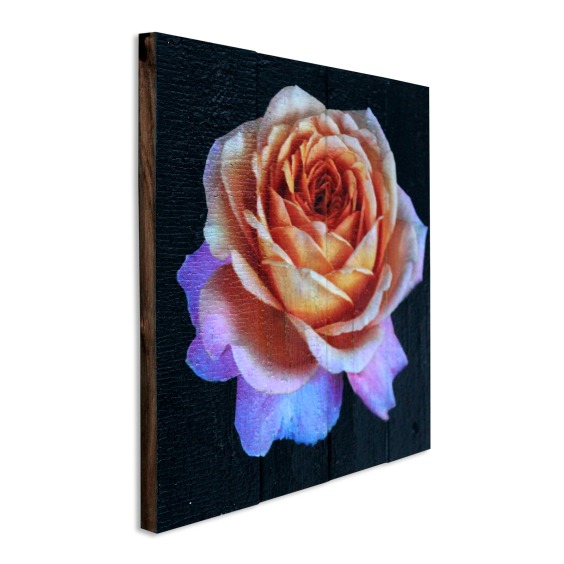 Картина "Желтая роза на черном фоне" 40х40 см #2