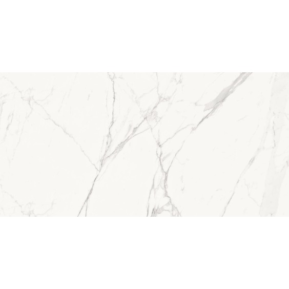 Delacora Porfido Carrara 60120PFC15M Керамогранит матовый 600*1200*9,5 (2 шт в уп/43,2 м в пал) #3