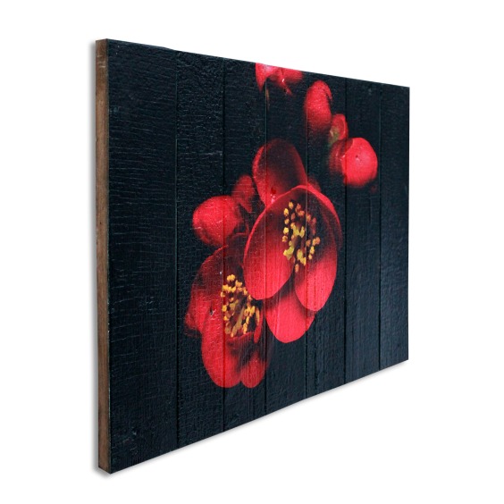 Картина "Красные орхидеи на черном фоне" 60х40 см #2 Картина "Красные орхидеи на черном фоне" 60х40 см #2