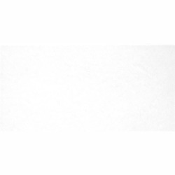 TWU09MNR020 плитка облицовочная Alma Ceramica Monocolor 249*500 (12 шт в уп/80,676 м в пал)