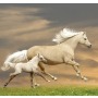Панно Loymina Illusion vol. II Animals DA, 004