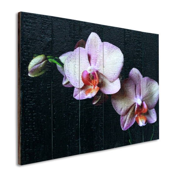 Картина "Две нежно-фиолетовые орхидеи черном фоне" 60х40 см #2 Картина "Две нежно-фиолетовые орхидеи черном фоне" 60х40 см #2