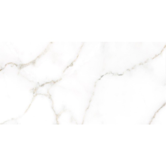 TWU09GRG007 плитка облицовочная Alma Ceramica Grigio 249*500 (12 шт в уп/80,676 м в пал) #14