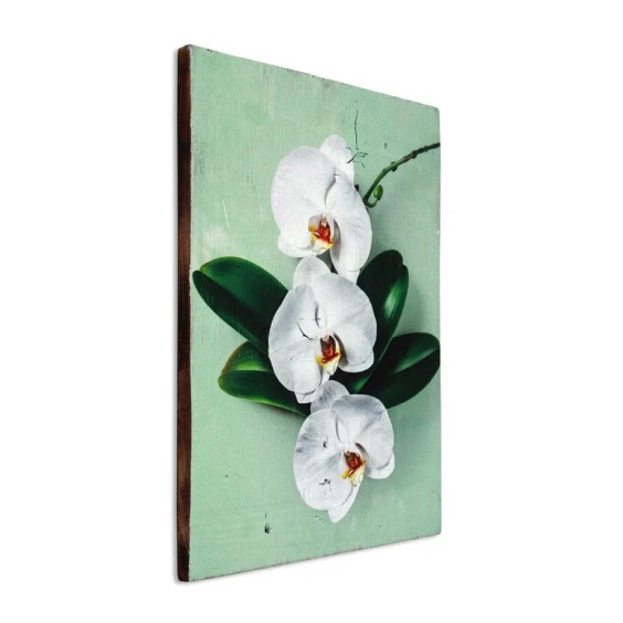 Картина "Орхидеи" 30х40 см #2 Картина "Орхидеи" 30х40 см #2