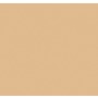 Обои флизелиновые Loymina Golden Library Plain SAT3, 0501, 10х1 м
