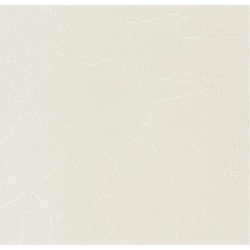 Обои виниловые на флизелиновой основе Andrea Rossi Spectrum Plus 54351-10, 1,06*10 м