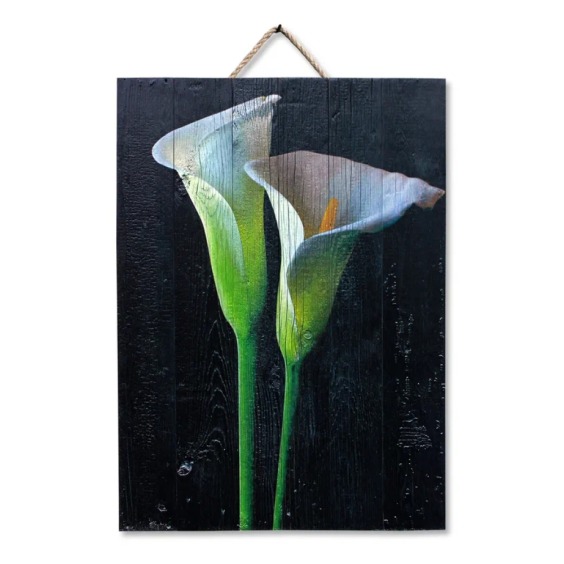 Картина "Два белых калла на черном фоне" 50х70 см #1