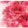 Панно Loymina Illusion vol. II Floral DFL, 003