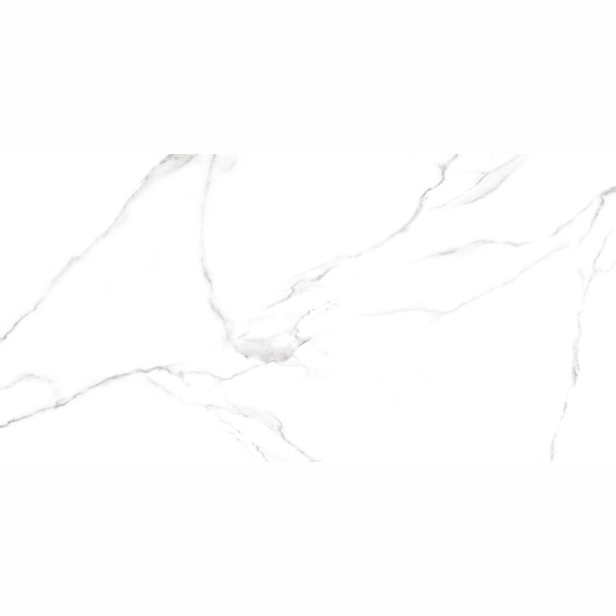 GFU60120CRR00R керамогранит матовый Alma Ceramica Carrara 600*1200 (2 шт в уп/46,08 м в пал) #1