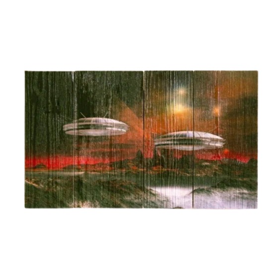 Картина "Братья по разуму" 60х40 см #1