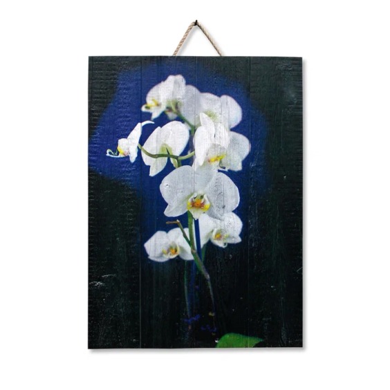 Картина "Белые орхидеи на черном фоне" 50х70 см #1 Картина "Белые орхидеи на черном фоне" 50х70 см #1