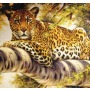 Панно Loymina Illusion vol. II Animals DA, 006