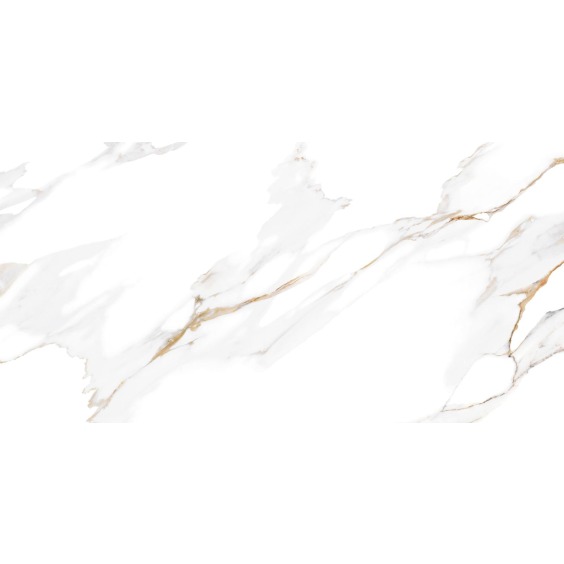 TWU09DBL004 плитка облицовочная Alma Ceramica Dublin 249*500 (12 шт в уп/80,676 м в пал) #12