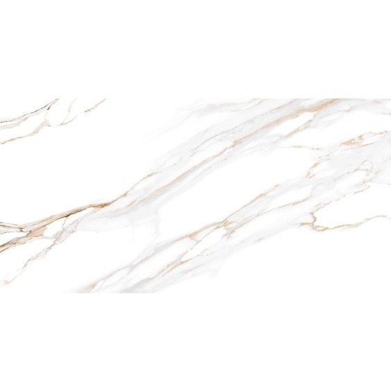 TWU09DBL004 плитка облицовочная Alma Ceramica Dublin 249*500 (12 шт в уп/80,676 м в пал) #6