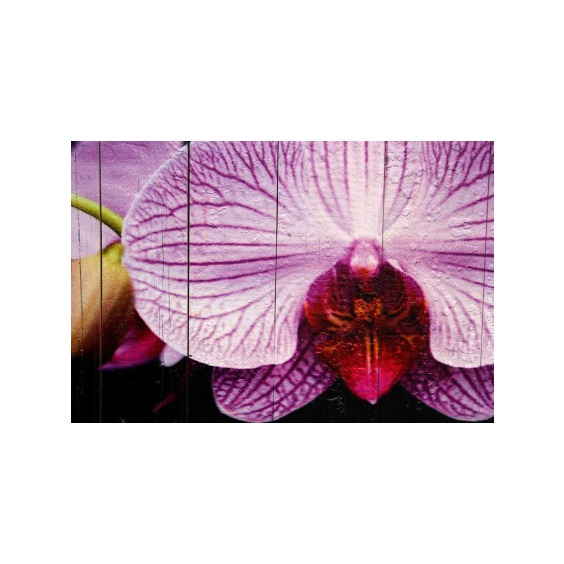 Картина "Бело-сиреневая орхидея на черном фоне" 60х40 см #3
