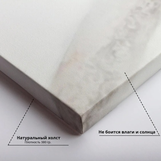 Интерьерная картина "Страусы" на холсте, большая, размер 90х60 см #3 Интерьерная картина "Страусы" на холсте, большая, размер 90х60 см #3