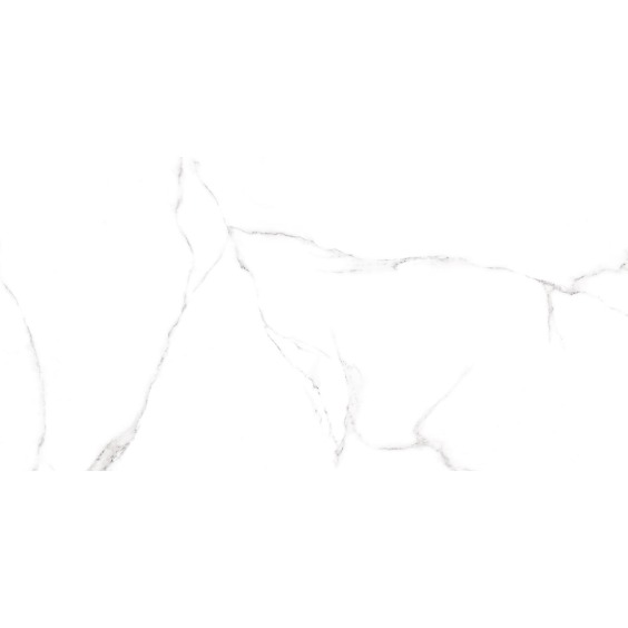 GFU60120CRR00R керамогранит матовый Alma Ceramica Carrara 600*1200 (2 шт в уп/46,08 м в пал) #3