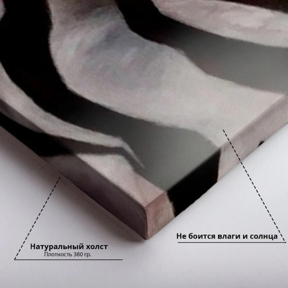 Картина на стену большая на холсте интерьерная "Зебры", размер 45х30 см #4