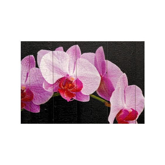 Картина "Нежно-фиолетовые орхидеи на черном фоне" 70х50 см #3 Картина "Нежно-фиолетовые орхидеи на черном фоне" 70х50 см #3