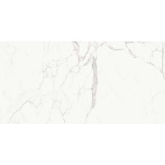 Delacora Porfido Carrara 60120PFC15M Керамогранит матовый 600*1200*9,5 (2 шт в уп/43,2 м в пал) #18