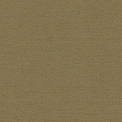 Обои виниловые на флизелиновой основе Alessandro Allori Breeze RDT2210-6, 1,06*10 м