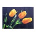 Картина "Три желтых тюльпана на черном фоне" 60х40 см