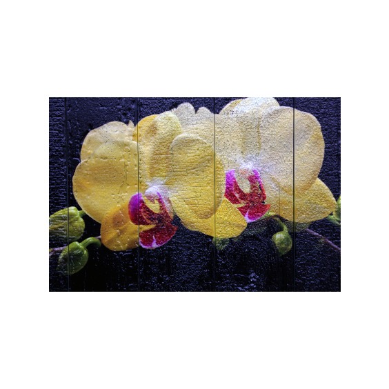 Картина "Желтые орхидеи на черном фоне" 60х40 см #3 Картина "Желтые орхидеи на черном фоне" 60х40 см #3
