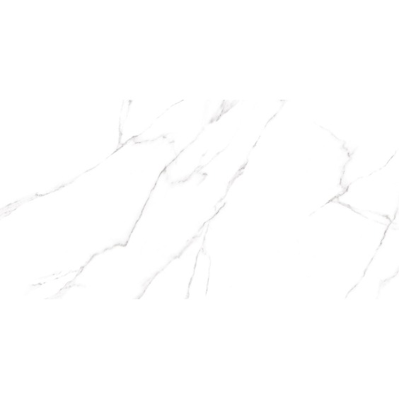 GFU60120CRR00R керамогранит матовый Alma Ceramica Carrara 600*1200 (2 шт в уп/46,08 м в пал) #5