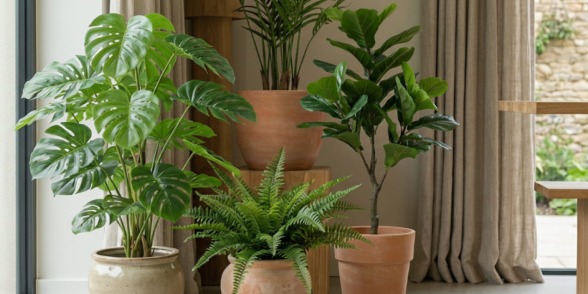 Искусственные растения нового поколения: как отличить качественные от дешевых?