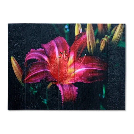 Картина "Яркий ирис на черном фоне" 70х50 см #1