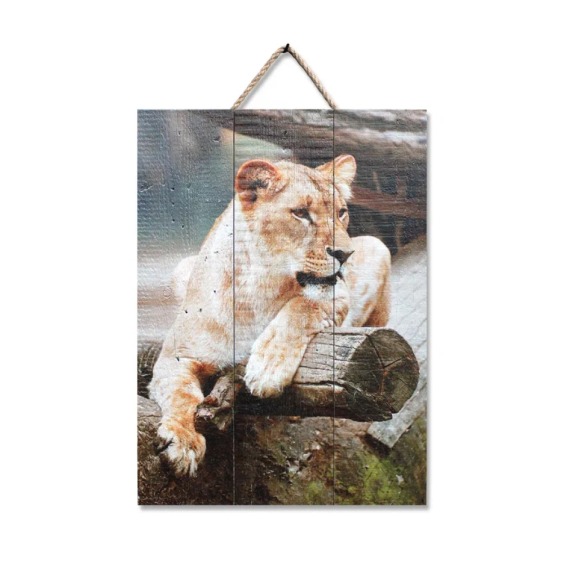 Картина "Львица" 40х60 см #1