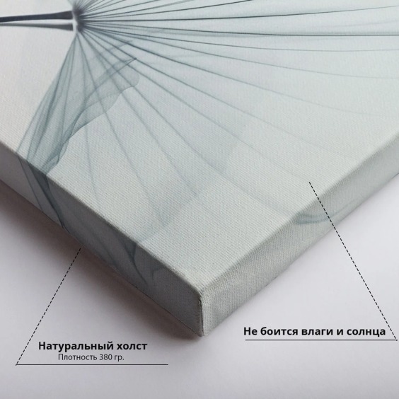 Интерьерная картина "Воздушный цветок" на холсте, большая, размер 50х80 см #4