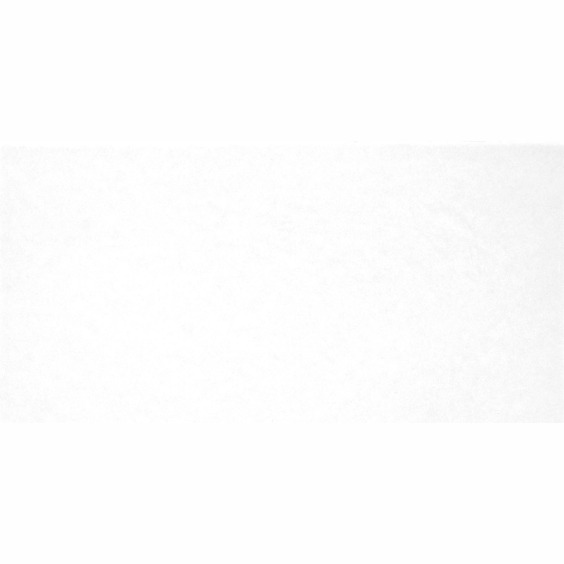 TWU09MNR020 плитка облицовочная Alma Ceramica Monocolor 249*500 (12 шт в уп/80,676 м в пал) #1