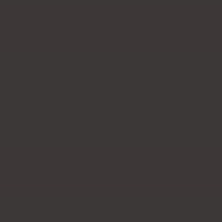 Кромка MaxiColor Биттер арт. 3025, 22 x 0.8 мм, 1 метр