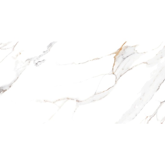 TWU09DBL004 плитка облицовочная Alma Ceramica Dublin 249*500 (12 шт в уп/80,676 м в пал) #9