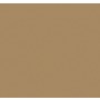 Обои флизелиновые Loymina Golden Library Plain SAT3, 005/1, 10х1 м