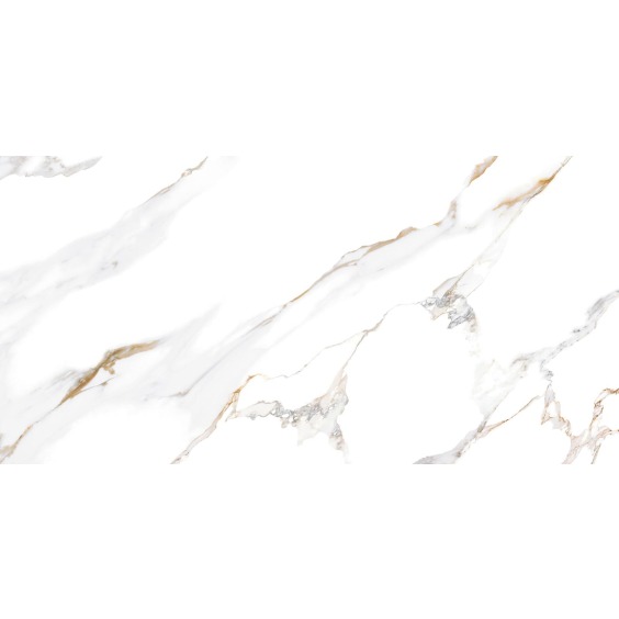 TWU09DBL004 плитка облицовочная Alma Ceramica Dublin 249*500 (12 шт в уп/80,676 м в пал) #17