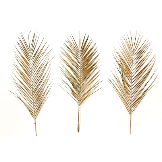 Интерьерная картина "Листья пальмы" на холсте, большая, размер 30х45 см #5 Интерьерная картина "Листья пальмы" на холсте, большая, размер 30х45 см #5