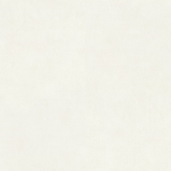Обои виниловые на флизелиновой основе Alessandro Allori Argiano 15023-3, 1,06*10 м #1