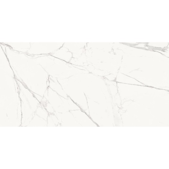 Delacora Porfido Carrara 60120PFC15M Керамогранит матовый 600*1200*9,5 (2 шт в уп/43,2 м в пал) #25