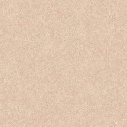 Обои виниловые на флизелиновой основе Alessandro Allori Four Seasons 1607-4 RST, 1,06*10 м