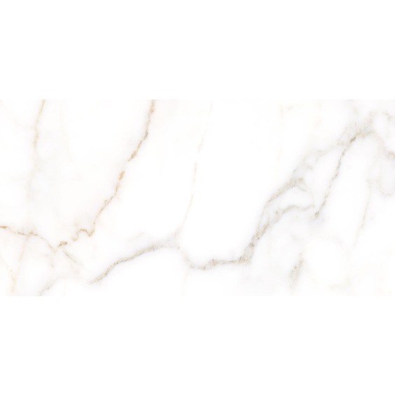TWU09GRG007 плитка облицовочная Alma Ceramica Grigio 249*500 (12 шт в уп/80,676 м в пал) #11